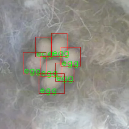 Detection of eggs in the nest